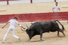 Mathis JOUSSET - MJ Community