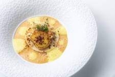 Charly CARDUNER - Visual Light