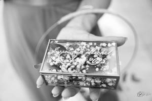 Aline CLADEL - TRIPLE ECLATS