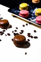 Alexandre ROSSINI - ROSSINI