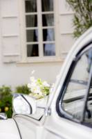 Alexandre ROSSINI - ROSSINI